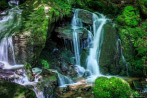 Creek in the Black Forest