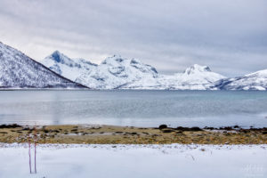 Fjord with a snowy beach