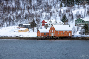 Houses in a Fjord