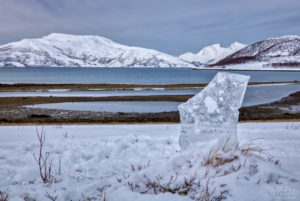 Ice Disk and Fjord