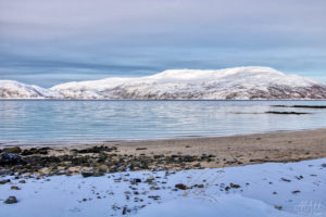 Snowy Beach Fjord2