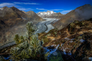 Aletsch Glacier