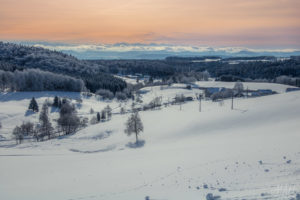 Black Forest and Swiss Alps