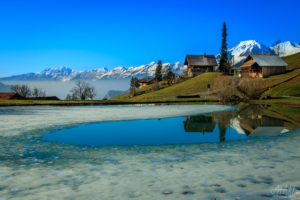 Half Frozen Lake