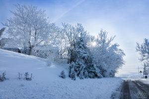 Snowy Road