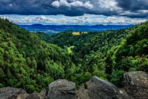 View from a castle ruin in the Black Forest