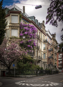 Zurich street at spring time